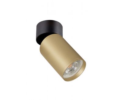 Купить Спот Denkirs DK2029 DK2029-BG Спот Denkirs DK2029 DK2029-BG