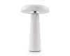 Настольная аккумуляторная лампа Freya Mushroom FR6109TL-L4W