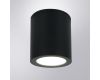 Уличный потолочный светильник Arte Lamp Torcular A1313PF-1BK
