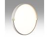 Настенно-потолочный светильник Sonex Pale Olidi White 7646/DLN