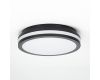 Потолочный светильник Citilux Luns CL711011V