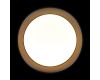 Потолочный светильник Loft IT Coin 10202 BB