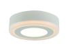 Потолочный светодиодный светильник Arte Lamp Antares A7806PL-2WH
