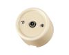 Розетка TV проходная сл. кость Болонь TDM Electric SQ1820-0354