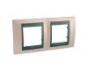 Рамка 2-постовая Schneider Electric Unica Top MGU66.004.295