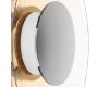 Настенно-потолочный светильник Lightstar Celesta 809023