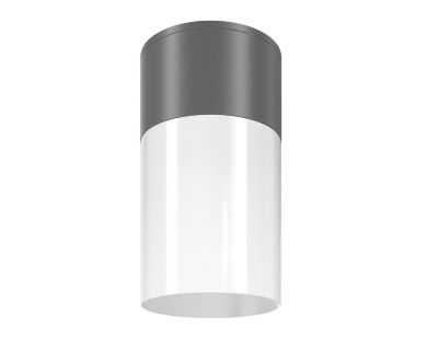 Уличный потолочный светильник Maytoni Willis O418CL-01GR