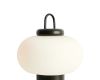 Настольная лампа Freya Take FR6175TL-L10B