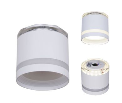 Накладной светильник Reluce 53001-9.5-001LD GX53+LED3W WT