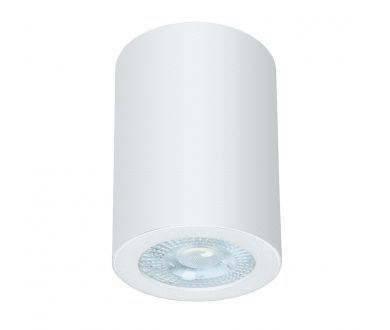 Накладной светильники Arte Lamp Tino A1468PL-1WH