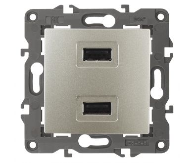 Розетка USB Эра 14-4110-04 Б0034371
