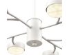 Люстра на штанге Lumion Comfi Torina 8265/12