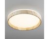 Потолочный светильник Citilux Enzo CL753352G
