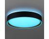 Потолочный светильник Citilux Boss CL751251G