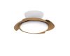 Люстра-вентилятор Mantra Aloha 8234