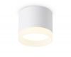 Накладной светильник Ambrella Light Acrylic Frost TN5365
