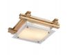 Потолочный светильник Arte Lamp 94 A6460PL-2BR