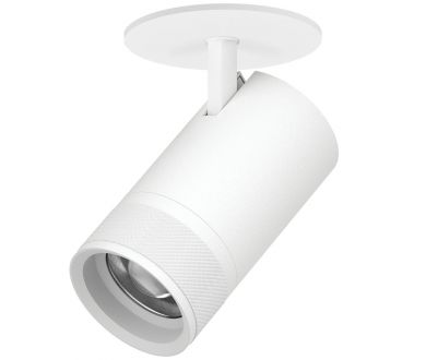 Встраиваемый светильник 20-55G с адаптером Lightstar Canno Pro C4406RS