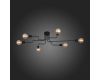 Потолочная люстра ST Luce Ano SL419.442.06