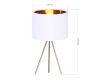 Настольная лампа ST Luce Fuego SL6242.504.01