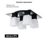 Потолочная люстра Lussole Lente GRLSC-2507-04