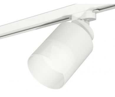 Трековый светильник Ambrella Light Track System XT8110002 (A2524, A2105, C8110, N8402)