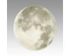 Настенно-потолочный светильник Sonex Pale Moon 3084/CLN