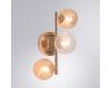 Бра Arte Lamp Etereo A5261AP-3GO