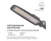 Уличный консольный светильник Apeyron 29-10
