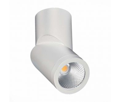 Купить Светодиодный спот ST Luce ST650.532.10 Светодиодный спот ST Luce ST650.532.10