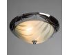 Потолочный светильник Arte Lamp 28 A3008PL-2CC