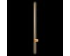Настенный светильник Loft IT Rays 10053GD