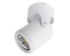 Спот Arte Lamp A3316PL-1WH