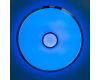 Накладной светильник Citilux CL703A100G