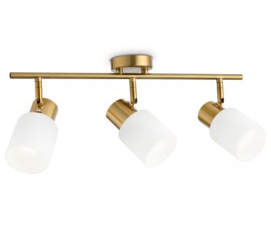 Спот Ambrella Light Traditional TR3972