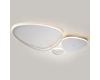 Настенно-потолочный светильник Escada Index 10289/3LED