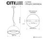Подвесной светильник Citilux Floom CL736252
