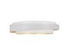 Потолочный светильник Evoluce Crosby SLE6009-502-01