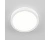 Накладной светильник Citilux Галс CL5522N