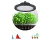 Фитопрожектор для растений Эра FITO-50W-RB-LED-UFO Б0053280