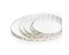 Светодиодная лента 24V Feron LS502, 180*SMD2835, 16W/m, IP20, 6000К (холодный белый) 53091