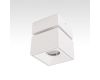 Спот Citilux CL558020N