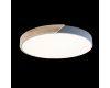 Потолочный светильник Loft IT AXEL 10004/36 Grey