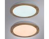 Потолочный светодиодный светильник Arte Lamp Luce A2685PL-72WH