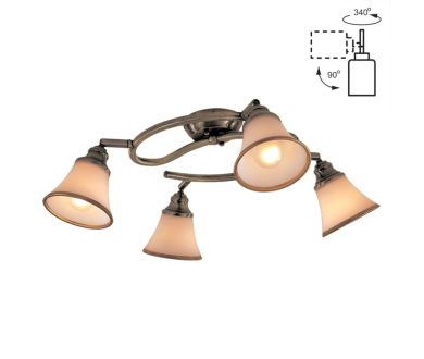 Спот Citilux Прованс CL511143