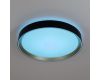 Потолочный светильник Citilux Boss CL751351G