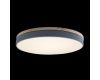 Потолочный светильник Loft IT AXEL 10001/36 Grey
