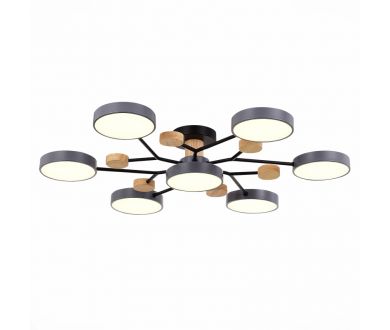 Люстра на штанге Evoluce Faema SLE6006-702-07