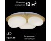 Потолочная люстра Reluce 10009-0.3-60W AEROLITE