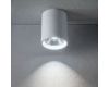 Потолочный светильник с переключателем цв. температуры Crystal Lux CLT 075C WH
